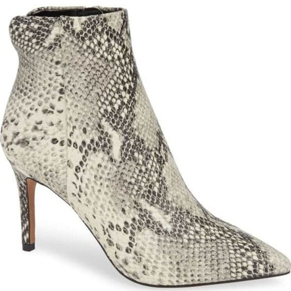 Steve Madden | Leila Bootie | Snake Print - Picture 1 of 7